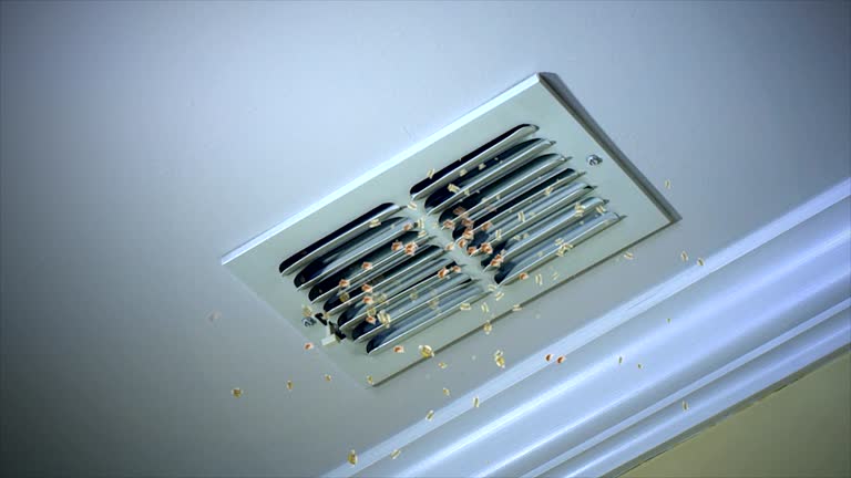 Best Commercial HVAC Duct Cleaning  in Deer Park, TX